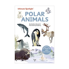 Ultimate Spotlight : Pola Animals, Twil