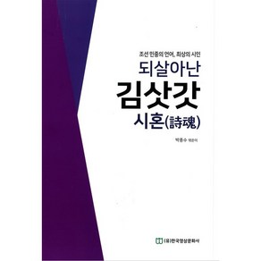 되살아난 김삿갓 시혼:조선 민중의 언어 최상의 시인, 한국영상문화사