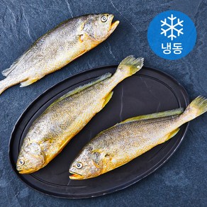 고고새우 부세조기 특대 3미 (냉동), 900g, 1개