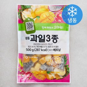 재호식품 과일 3종 망고 / 파인애플 / 용과 (냉동), 1개, 500g