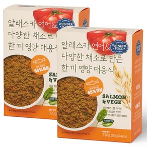 원더푸드 전연령용 한 끼 영양 대용식 연어, 320g, 2개