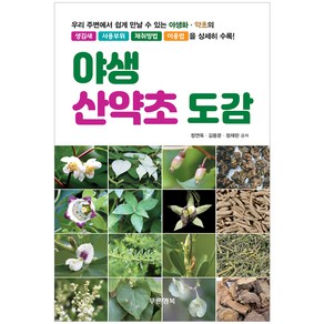 야생 산약초 도감