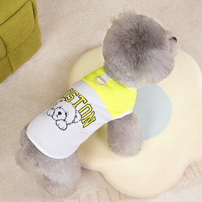 파스텔펫 반려동물 보스턴 베어 메쉬 티셔츠, 옐로우, 1개