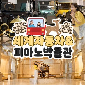 [제주] 세계자동차&피아노박물관♥낙타트래킹&카페택1 혜택 증정♥