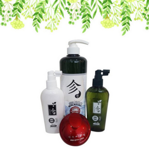 탈모야안녕 탈모케어 진4종세트 (진한방 냉샴푸 1000ml 진백토닉 200ml 진녹토닉 200ml 두피브러쉬), 1개