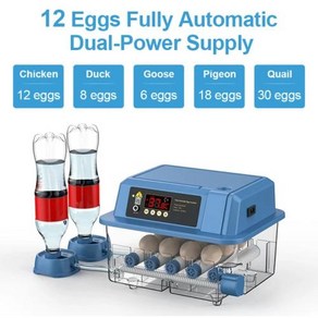 병아리 부화기 계란용 완전 자동 부화 계란 브로더 인큐베이터 농장 장비 새 액세서리 닭, 6) S  12 Eggs - US Plug 110V, 없음