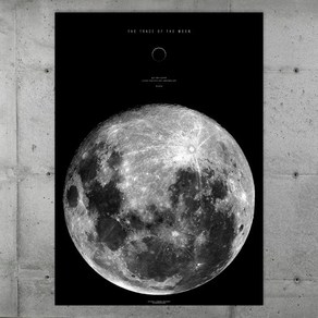 (주)브랜트 달 포스터 : The Tace of the Moon