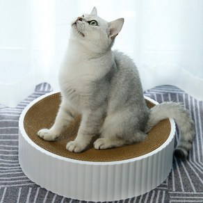 올투펫 고양이 46cm 원형 스크래쳐 리필, 1개