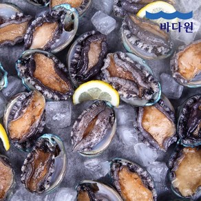 바다원 산지직송 완도 활전복 1kg 50-60미 (꼬마전복), 1개