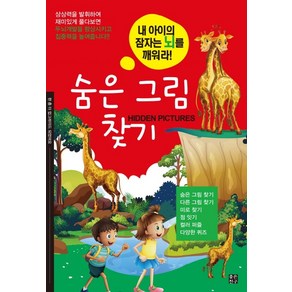 숨은 그림 찾기:내 아이의 잠자는 뇌를 깨워라, 좋은친구출판사, 숨은 그림 찾기