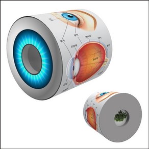 과학실험키트-NEW 눈으로 보는 눈의 구조 만들기-1인용