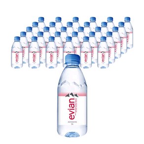 골든싸이]에비앙 프랑스천연광천수330ml 12개, 330ml