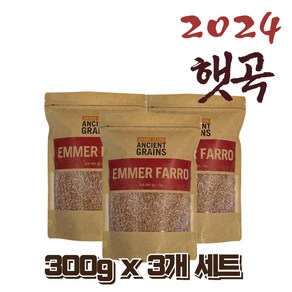 [농약검사완료 300g] 가족농장 2024 햇곡 파로 곡물 엠머 고대곡물, 3개, 300g