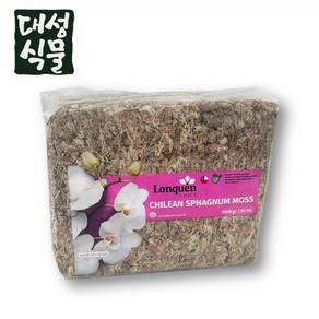 대성식물 칠레 수태 1kg 프리미엄 천연 풍란 자생란 이끼 토피어리, 1개