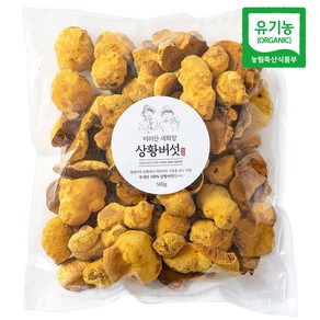 산청 지리산 새희망 유기농 상황버섯 실속형 500g, 1개