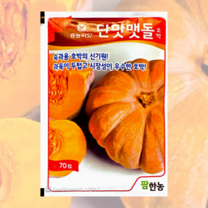 단맛맷돌 호박 70립 호박씨앗 팜한농 [25년포장], 1개