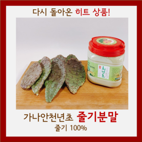 가나안천년초 줄기분말 1kg, 1개