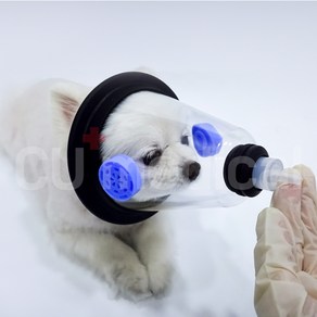 [당일발송] 강아지 산소호흡기 세트 / 고양이 대형견 반려동물 응급 병원이동 마스크, 1세트