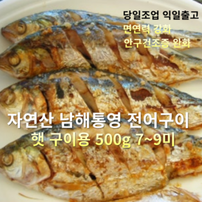 [산지직송] 국내산 자연산 남해 통영 전어 구이용 500g (7~9미)