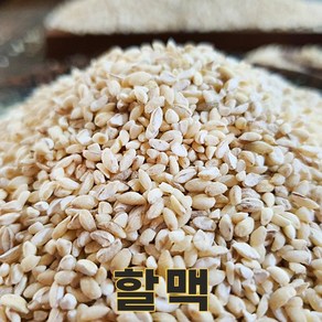 밥보야 24년산 국산 할맥 1kg 할맥밥