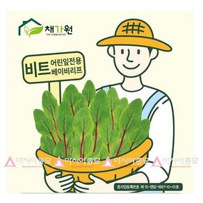 아시아종묘 씨앗 비트 베이비리프 500g 어린잎전용, 1개