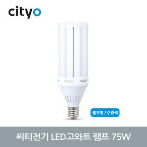 씨티전기 LED 고와트램프 (GU10) 75W E39 불투명 (47565), 47565_불투명_주광색_E39_75W, 1개