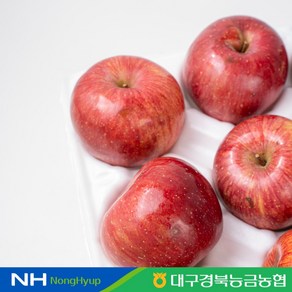 [대구경북능금농협] 청송 꿀사과 (부사) 가정용 3kg (12-15과)