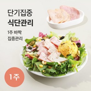 [포켓샐러드] 1주 단기집중 식단관리 샐러드 6팩 + 라이스 6팩, 230g