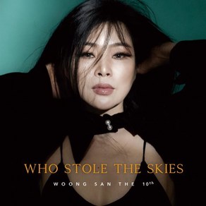 [LP] 웅산 - 10집 Who Stole the Skies [LP+7인치 Vinyl]