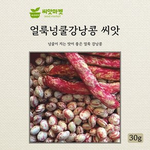 아람종묘 얼룩넝쿨 강낭콩 씨앗 30g, 1개