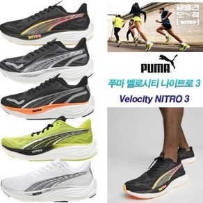 푸마푸마 PUMA 푸마 런닝화 벨티 나이트로 3 377748 06 512152