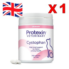 240정 1통 프로텍신 프로텍신 시스토판 반려견 반려묘 Potexin Cystophan Capsules, 유리너리+결석, 1개