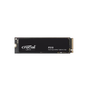[마이크론] Cucial P310 M.2 NVMe 2280 대원씨티에스 [2TB QLC], 2TB