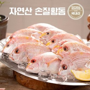 국내산황돔(명진) [명진] 국내산 황돔 300g11팩(팩당 3마리 포장) / 총 33마리