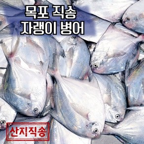 목포 국산 자랭이 병어 당일조업 산지직송