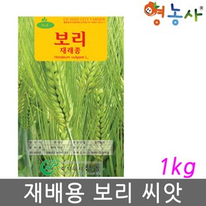 재배 보리 씨앗 1kg