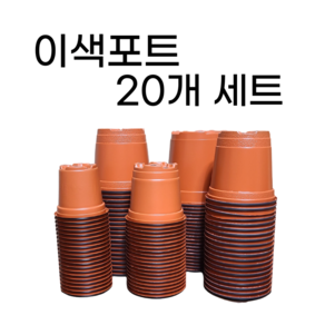 이색포트 이색화분 연질분 20개