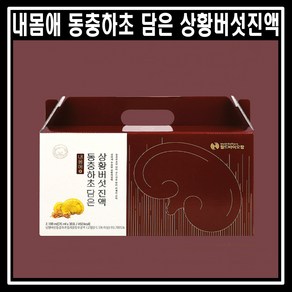 [월드바이오팜] 내몸애 동충하초 담은 상황버섯진액 70ml 30포, 30개