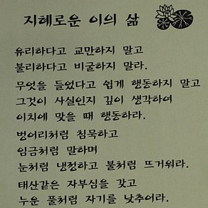 고급다포 지혜로운 이의 삶 세로 - 4색 택1