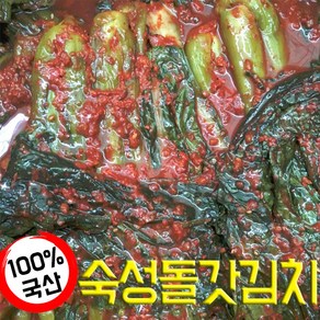 정지현식품 감칠맛 나는 숙성 돌산갓 김치, 1개, 1kg