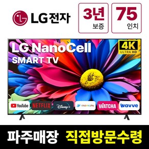 LG전자 75인치(190Cm) 8K UHD 스마트 TV 75NANO99, 고객직접설치, 스탠드형, NANO99, 75인치