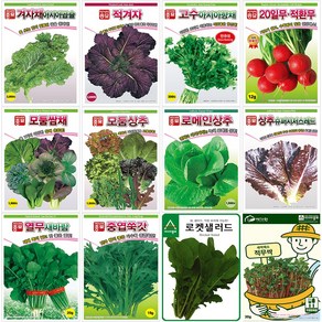 쌈채소 잎채소 상추 여름 씨앗 모음 루꼴라 케일 청경채 치커리 청상추 시금치, 20.중엽쑥갓, 1개