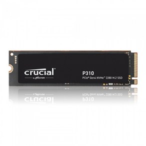 마이크론 Cucial P310 M.2 NVMe 아스크텍, 2TB