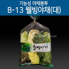 기능성 포장 웰빙야채봉투 대 B-13 200장