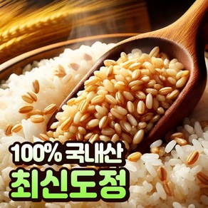 [100%국산] 호라산밀 카뮤트 효능 당뇨에좋은 쌀