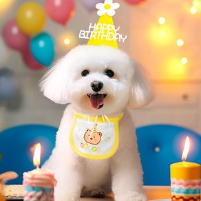 강아지 고양이 생일 파티 HBD 꽃 고깔 모자 & 턱받이, 노랑, 1개