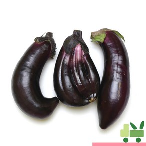 사라상회 가지 5Kg (보통)