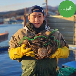 최고다농수산 싱싱한 동해안 참가리비 수입산 가리비 산지직송