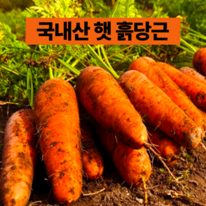[싱싱한햇당근] 국내산 못난이 당근 흙당근, 1박스, 5kg(초특가  못난이 당근 주스용)