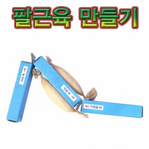 팔근육 모형만들기(2인용)